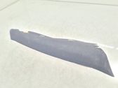 (C) pillar trim