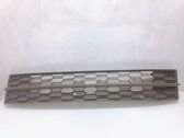 Front bumper lower grill