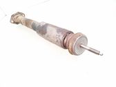 Rear shock absorber/damper