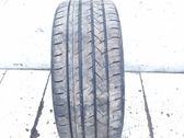 R17 vasaras riepa (-as)