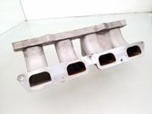 Colector de admisión