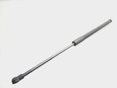 Tailgate/trunk strut/damper