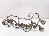 Front door wiring loom