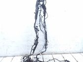 Other wiring loom