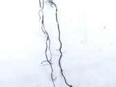 Otros cableados