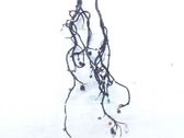 Other wiring loom