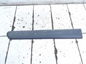 Front door trim (molding)