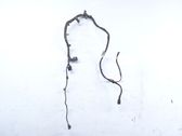 Other wiring loom