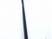 Listón embellecedor de la puerta delantera (moldura)