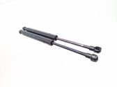 Front bonnet/hood damper/strut