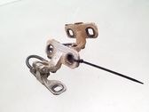 Tailgate/trunk/boot hinge