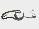 Positive cable (battery)