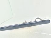 Trunk door license plate light bar
