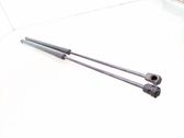 Tailgate/trunk strut/damper