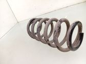 Muelle espiral trasero
