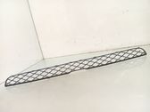 Front bumper lower grill