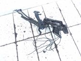 Convertible roof hinge