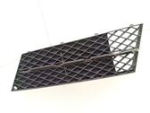 Front bumper lower grill
