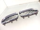 Front grill