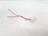 Other wiring loom