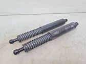 Tailgate/trunk strut/damper