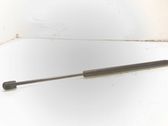 Tailgate/trunk strut/damper