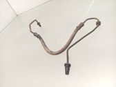 Manguera/tubo del embrague