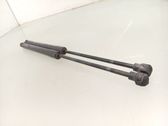 Tailgate/trunk strut/damper