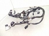 Faisceau de câblage pour moteur