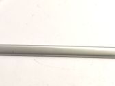 Rear fender molding trim