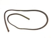 Trunk rubber seal (body)