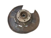 Rear wheel hub