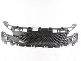 Front bumper upper radiator grill