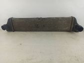 Intercooler radiator