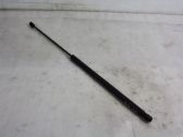 Tailgate/trunk strut/damper