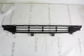 Front bumper lower grill