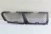 Front bumper lower grill