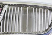 Front bumper upper radiator grill