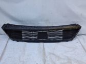 Front bumper lower grill