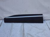 Front door trim (molding)