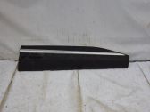 Front door trim (molding)