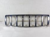 Front bumper upper radiator grill