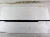 Front door trim (molding)