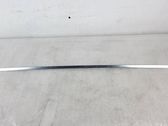 Other rear door trim element