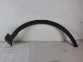 Fender trim (molding)