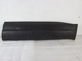Front door trim (molding)