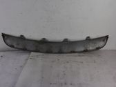 Front bumper lip