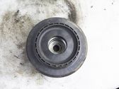 Coil spring mount