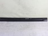 Front door trim (molding)