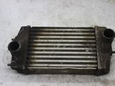Intercooler radiator